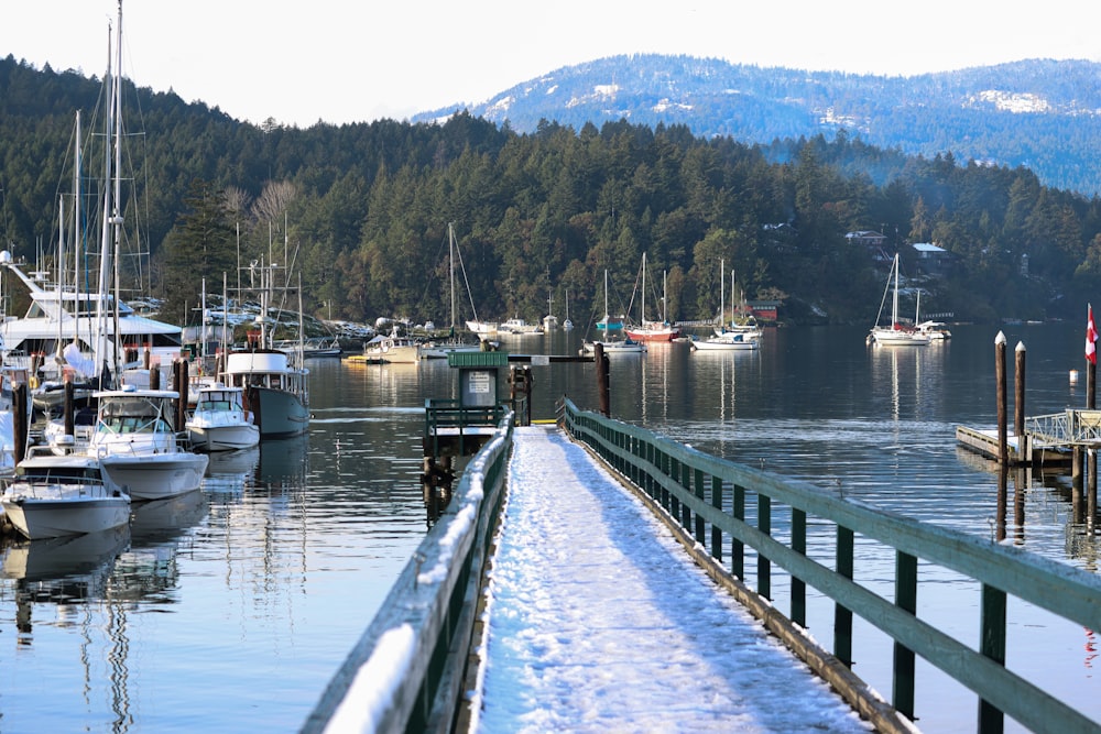 white boat on body of water during daytime