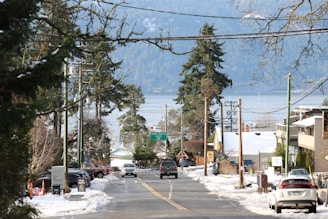 cars on road during daytime