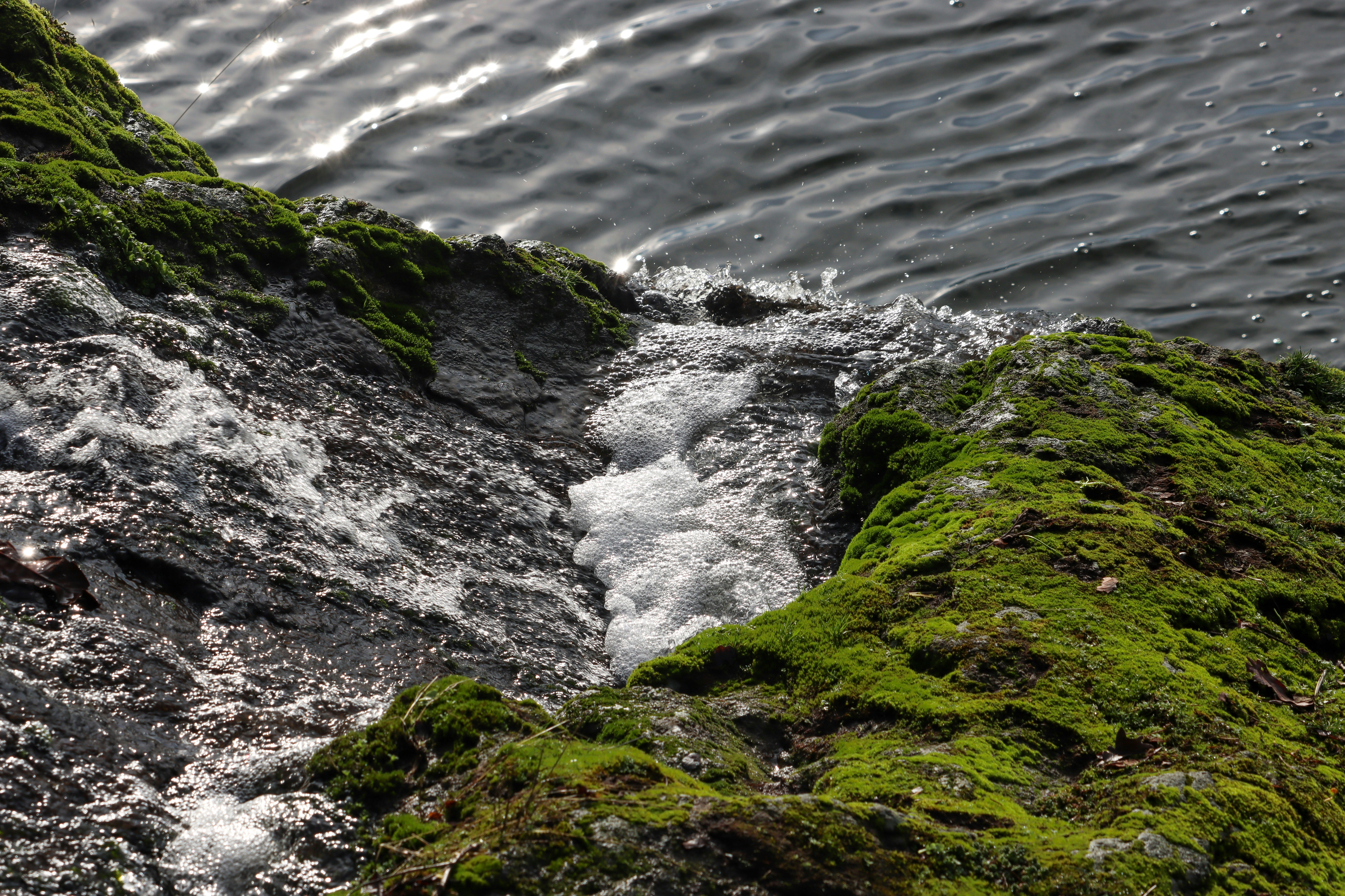 Photo by izzyatthelookout