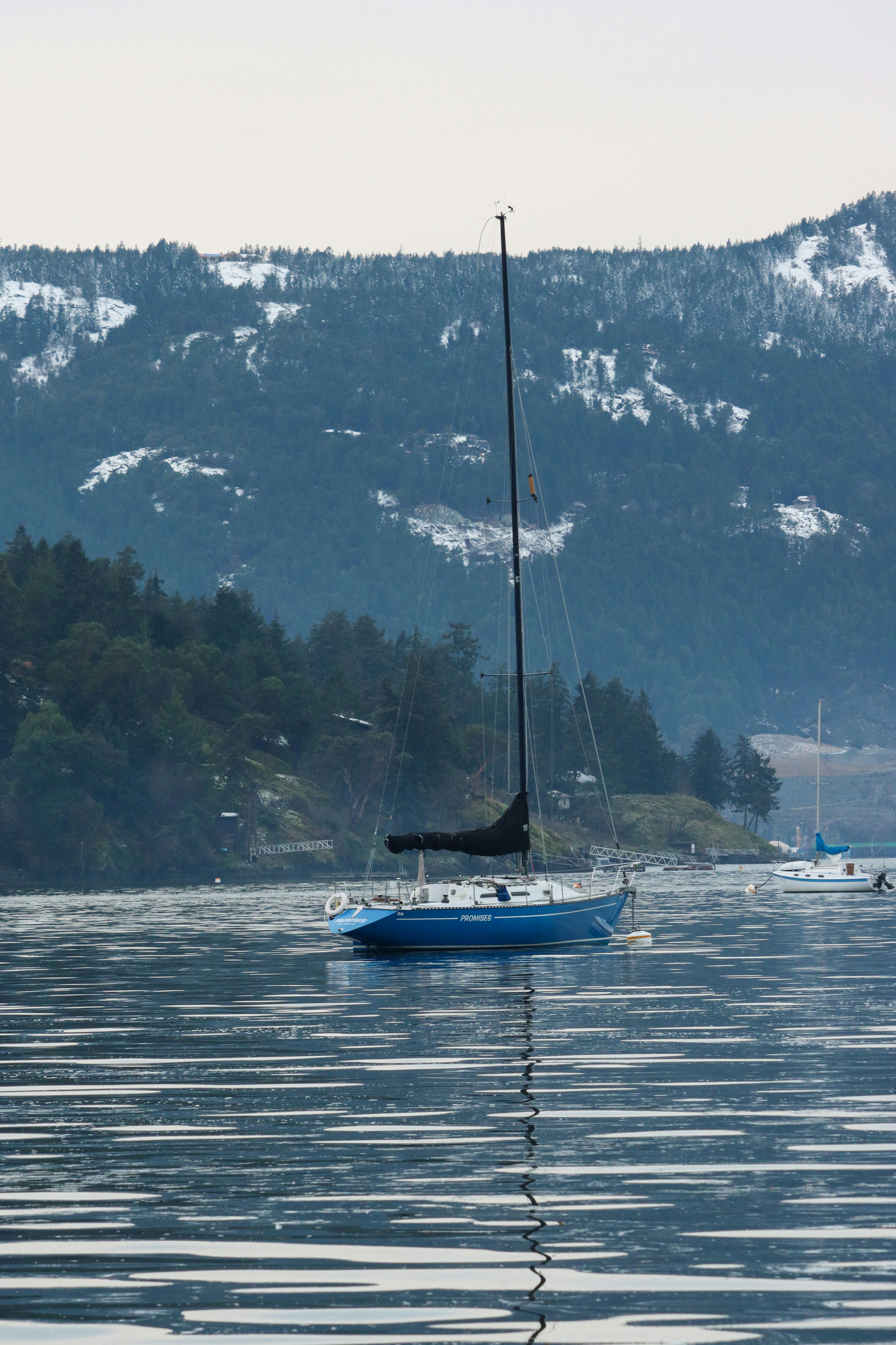 Photo by izzyatthelookout