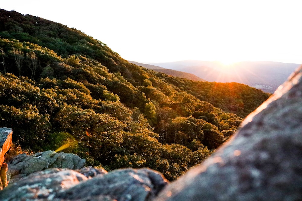 montaña verde y marrón bajo el cielo blanco durante el día