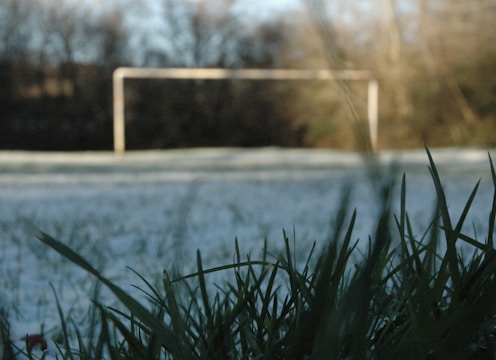 A grassy field with a focus on blades of grass in the foreground, and a blurred view of a soccer goal in the background. Trees are visible in the distance, giving the scene an outdoor, natural setting.