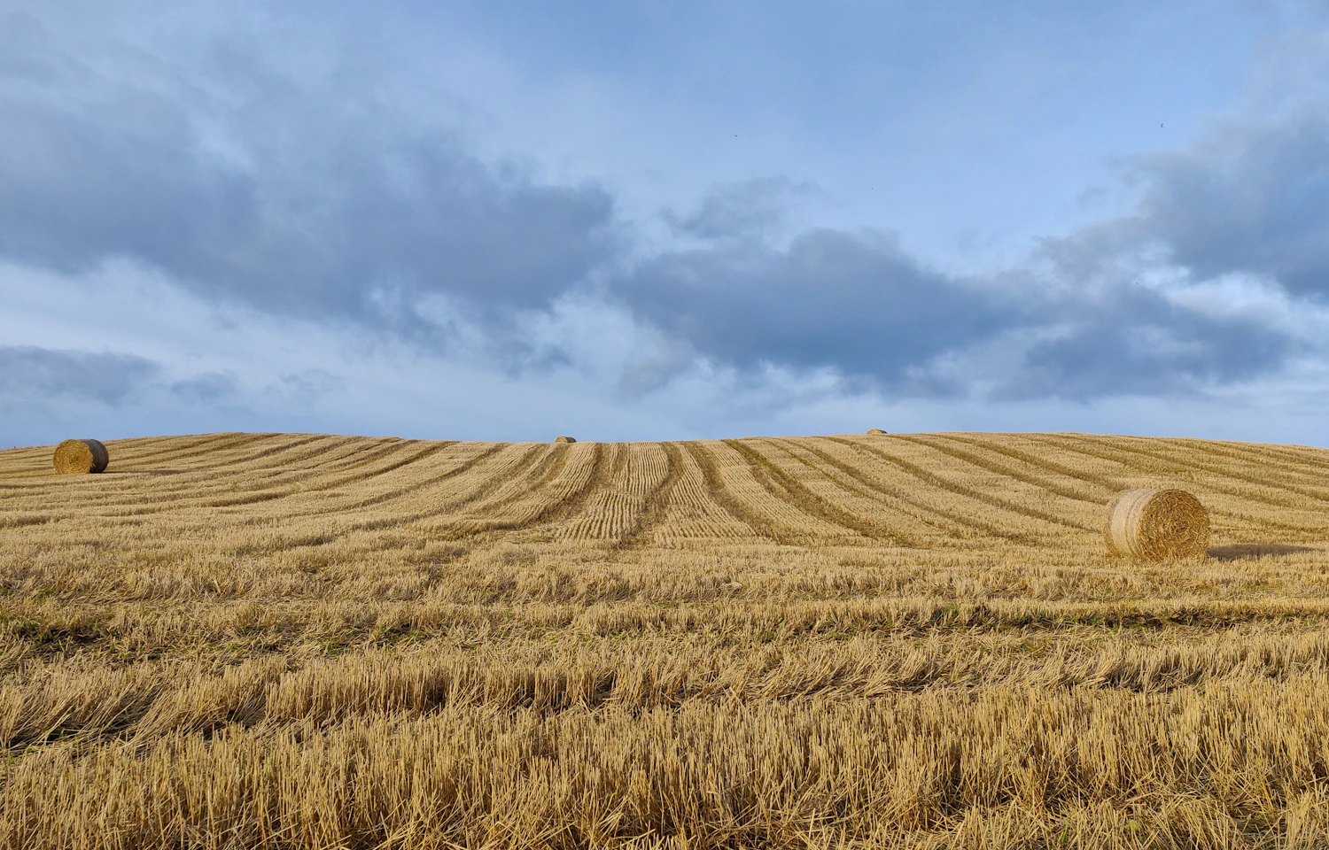A cut stubble field with round straw bales under heavy grey cloud