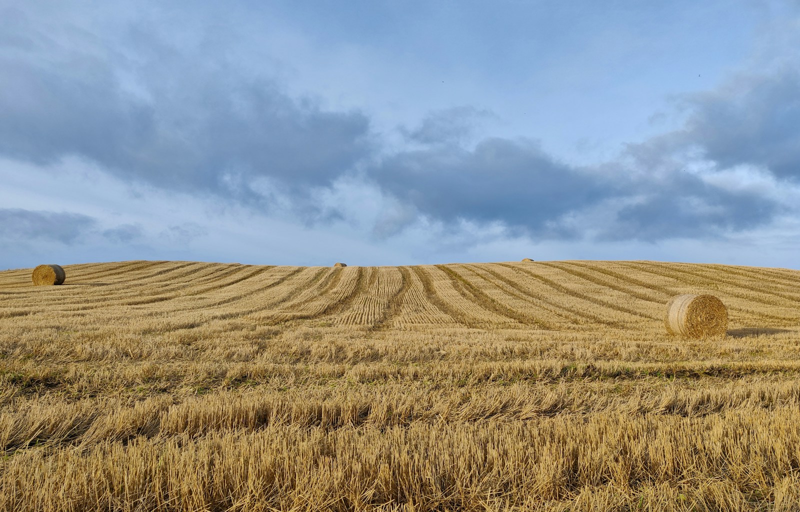 10. Selling Rural Property in the foothills northwest of Calgary - a complete listing will help