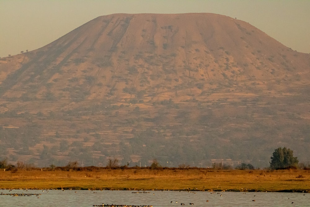 brown mountain under blue sky during daytime