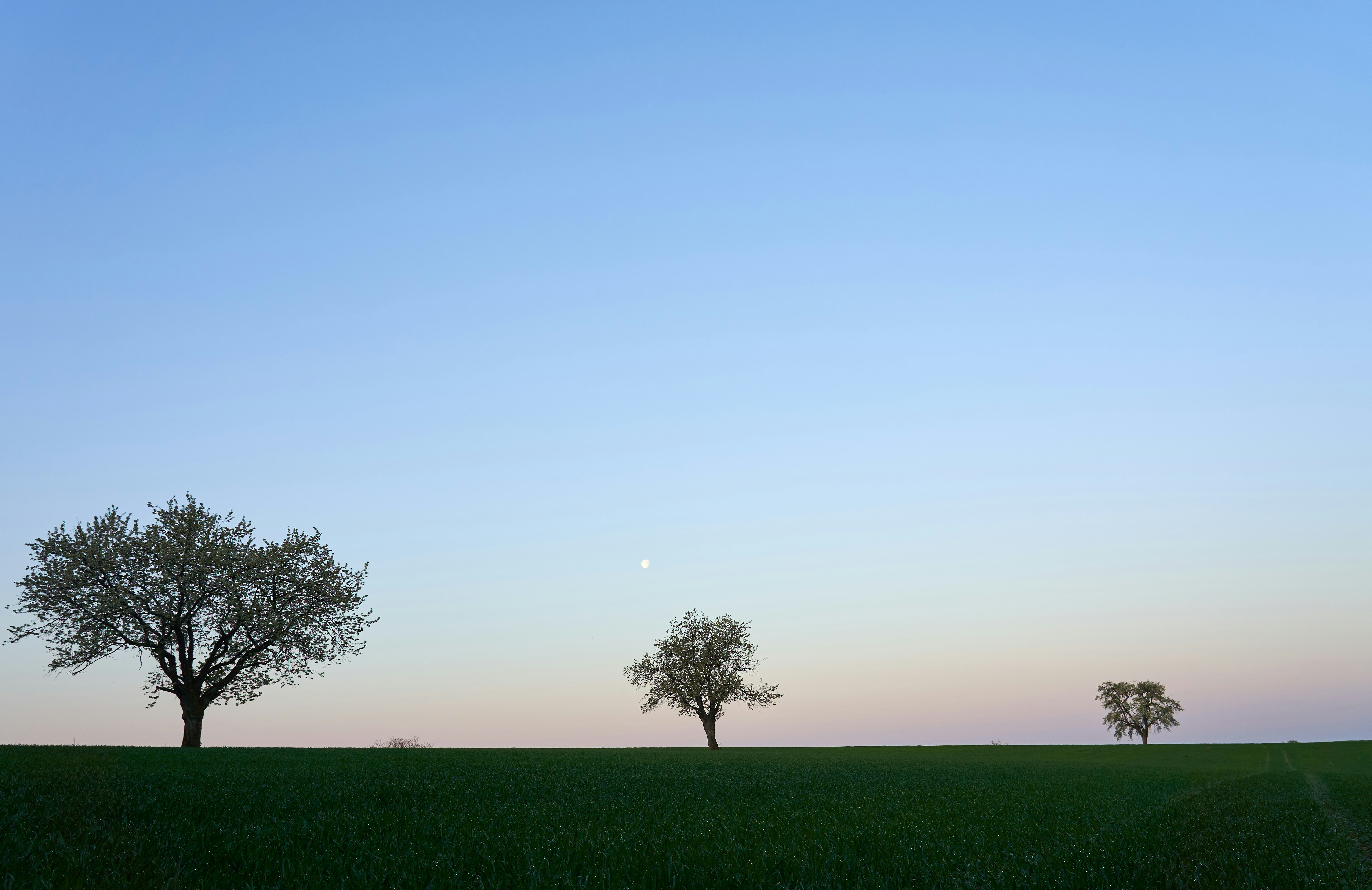 Photo by wolfgang_hasselmann