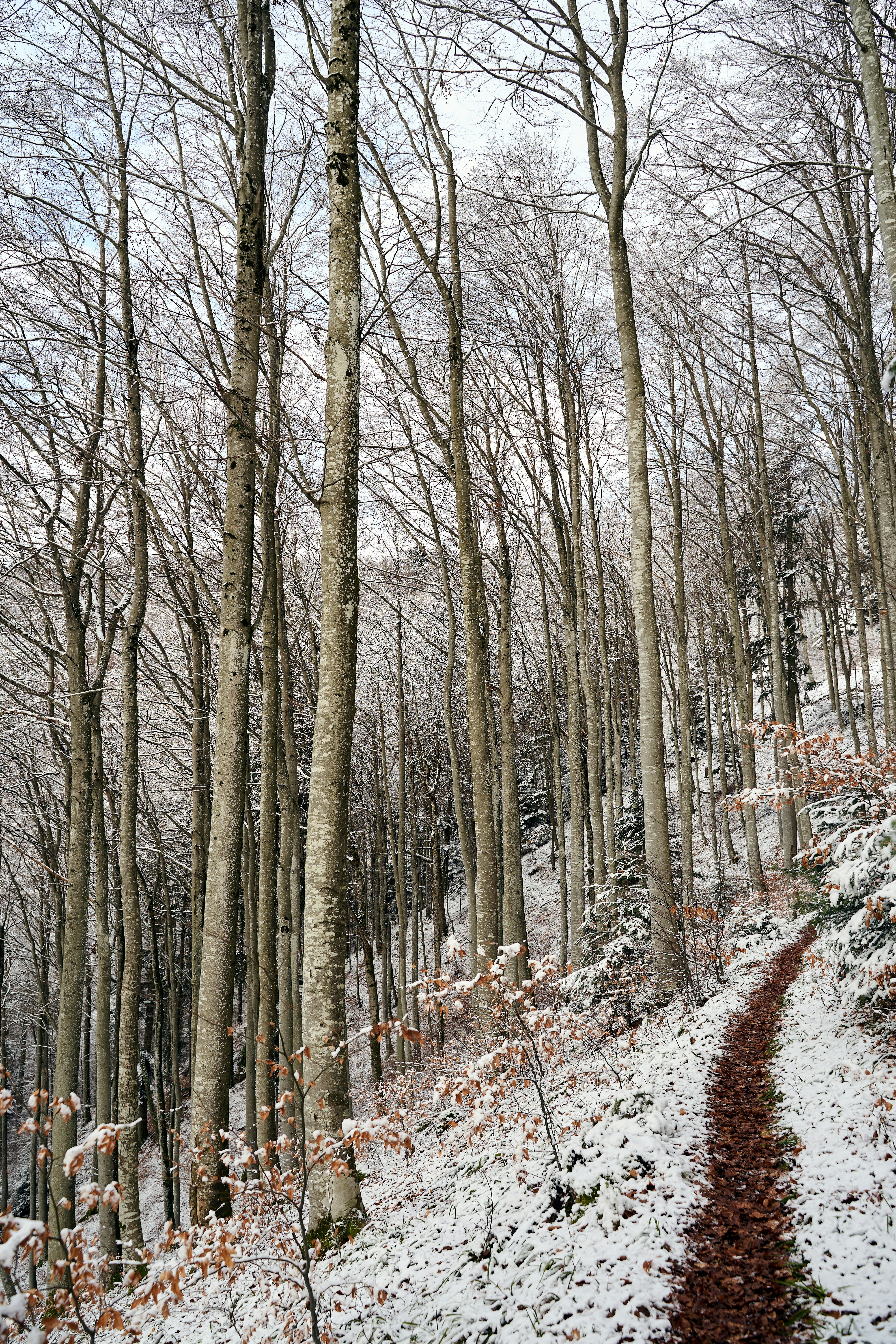 Photo by wolfgang_hasselmann