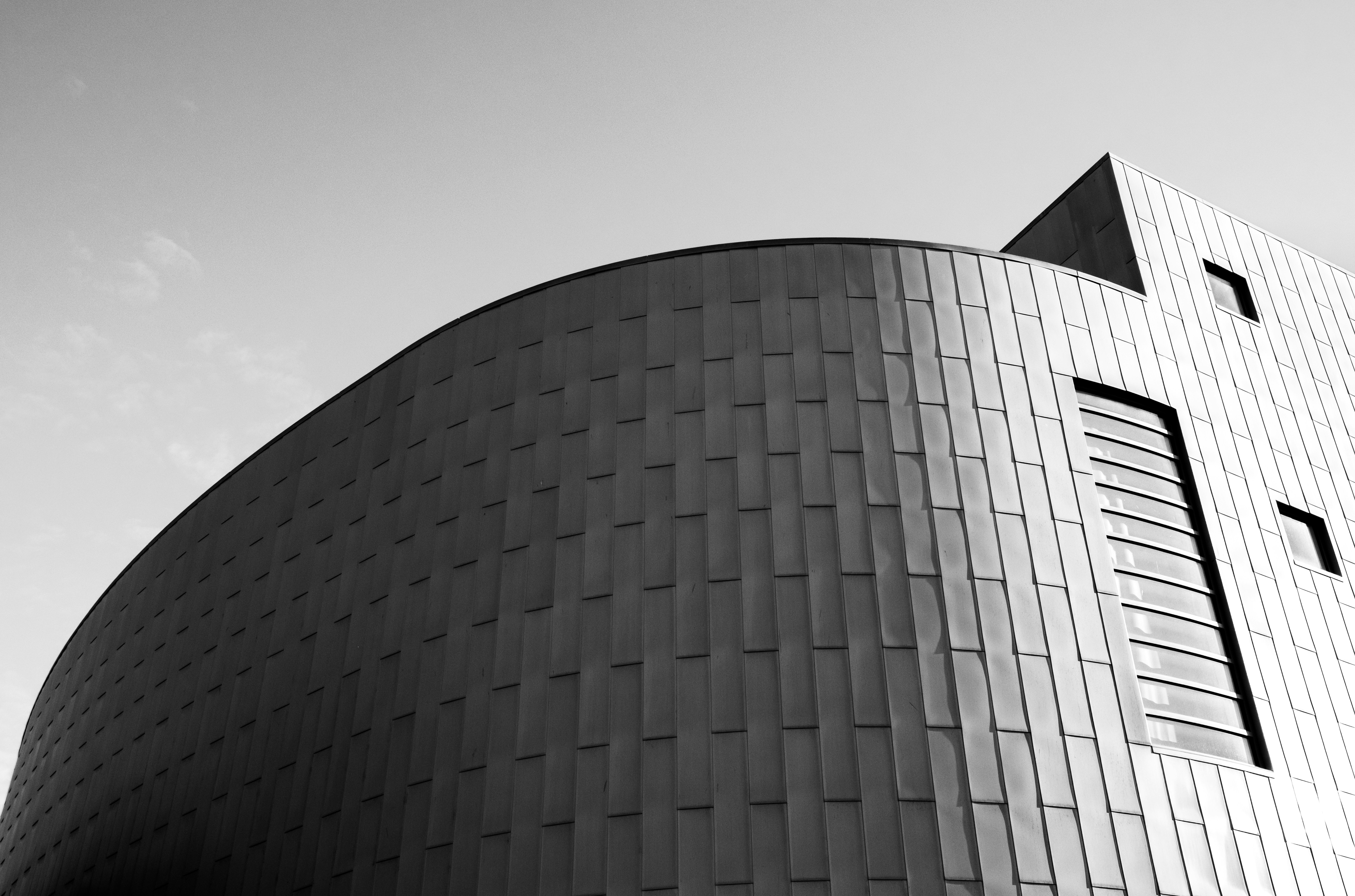 Photo by parsoakhorsand