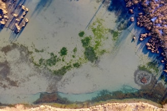 High-resolution sonar scan displaying 3D bathymetric and vegetation heatmaps of a lakebed.