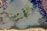 An aerial view of a shallow body of water with green vegetation growing beneath the surface. Pockets of brown, bush-like formations are scattered across the water, surrounded by muddy areas. Shadows cast from objects along the shore create long, dark shapes across the water.
