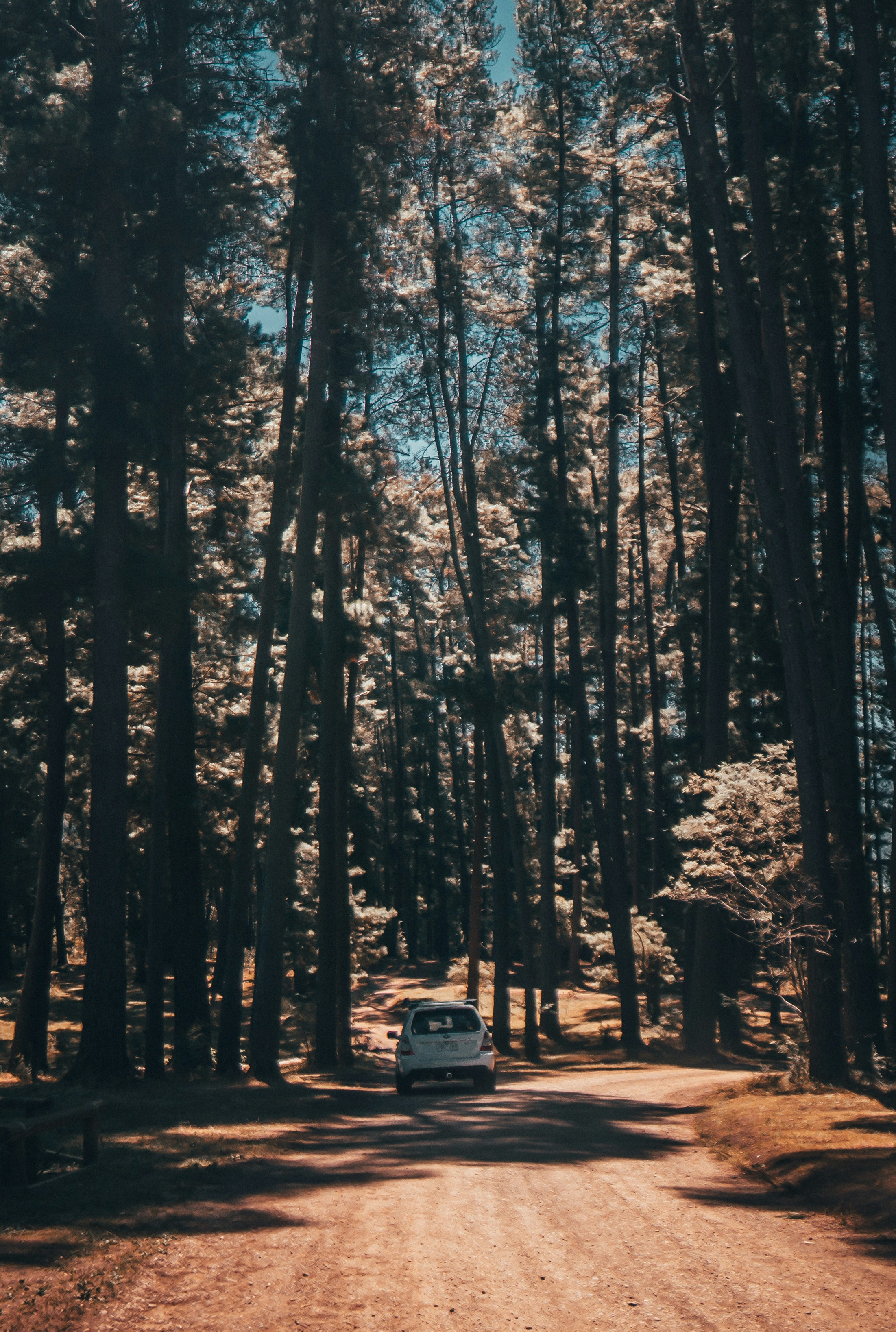 Photo by callumeddings