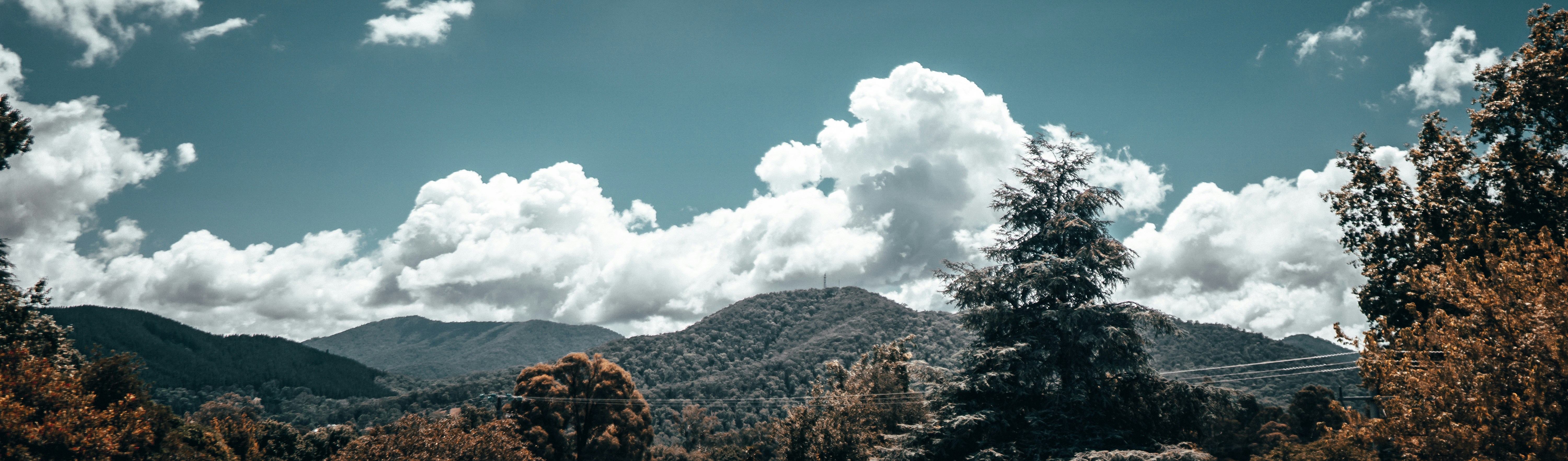 Photo by callumeddings