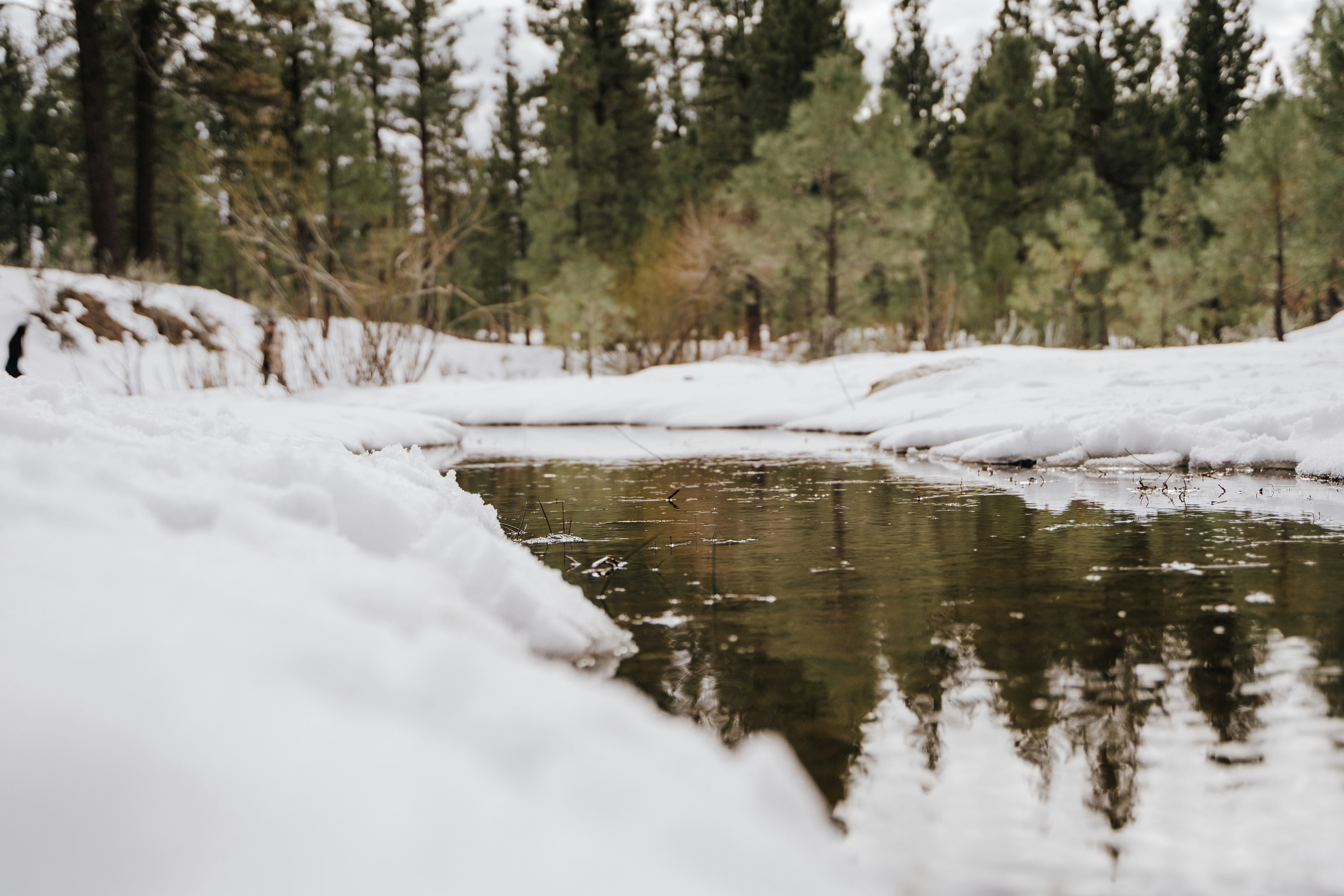 Photo by josuemichelphotography