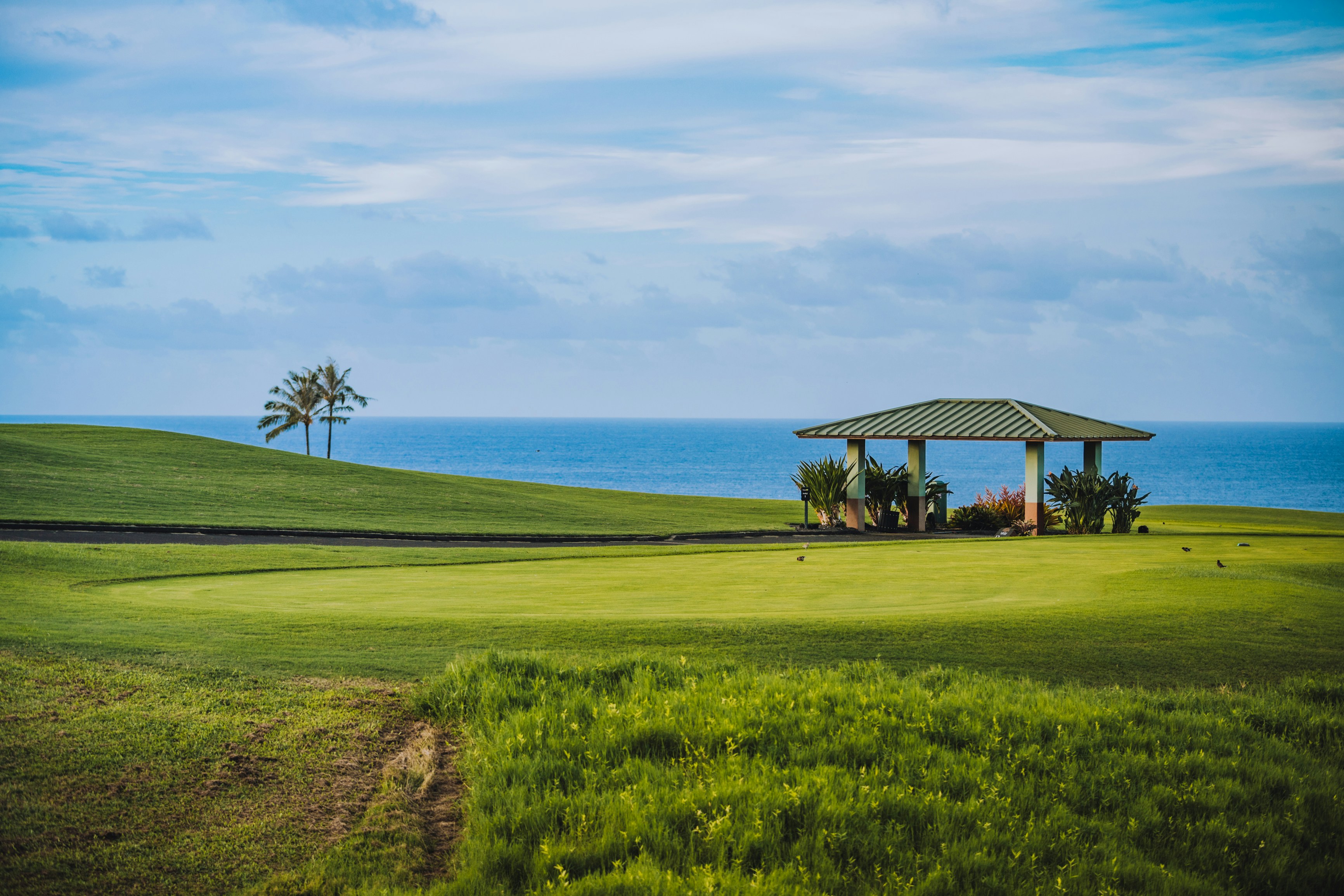 Kawerau Golf Course