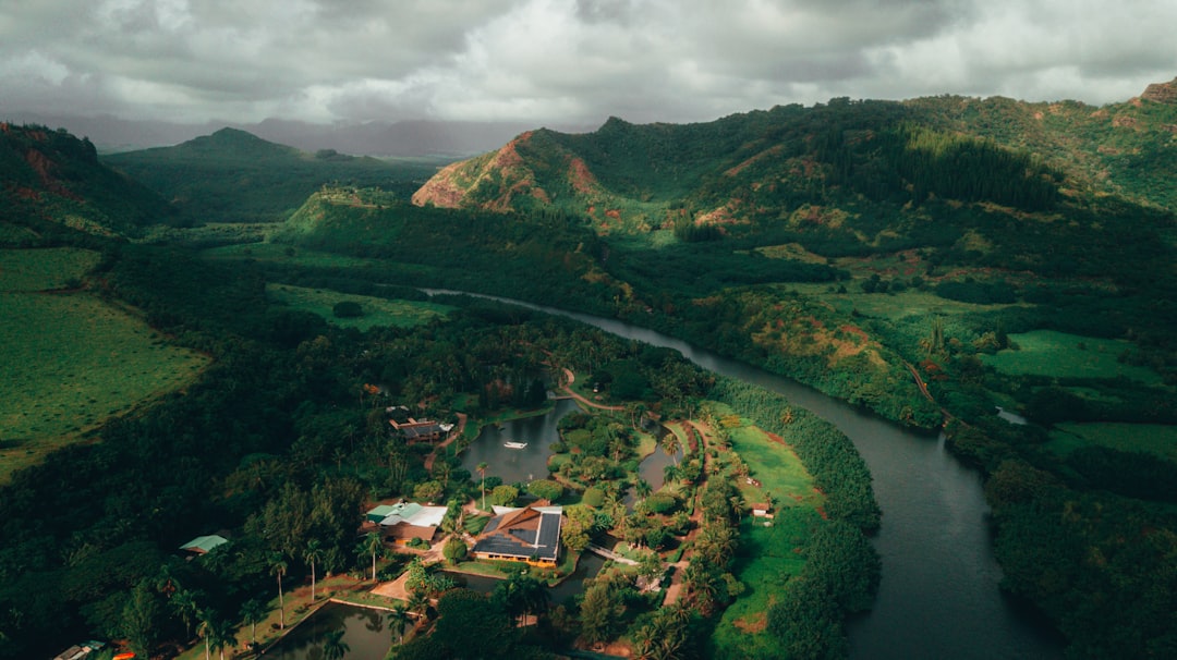 aerial view of green trees and mountains during daytime