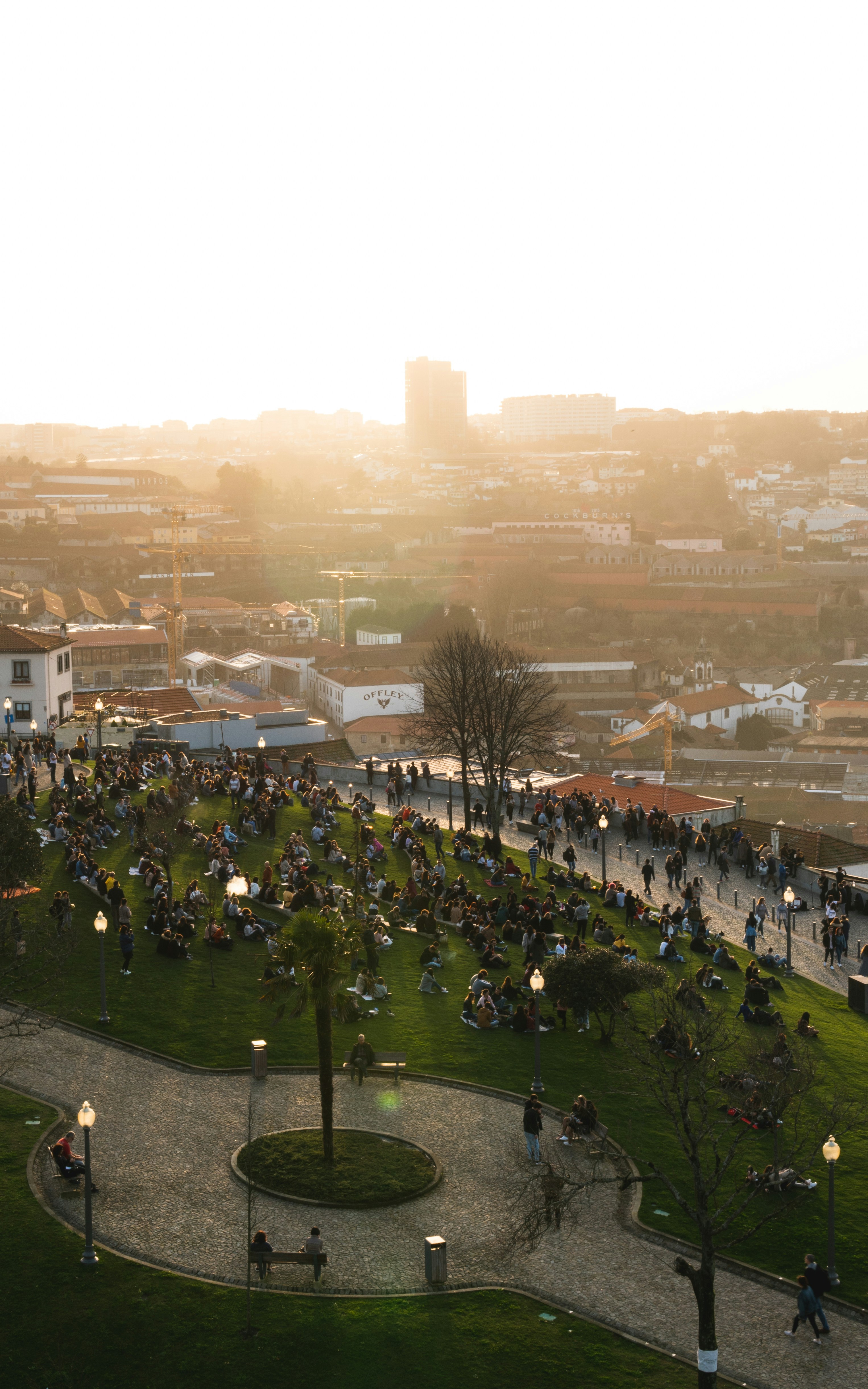 people walking on green grass field near city buildings during daytime