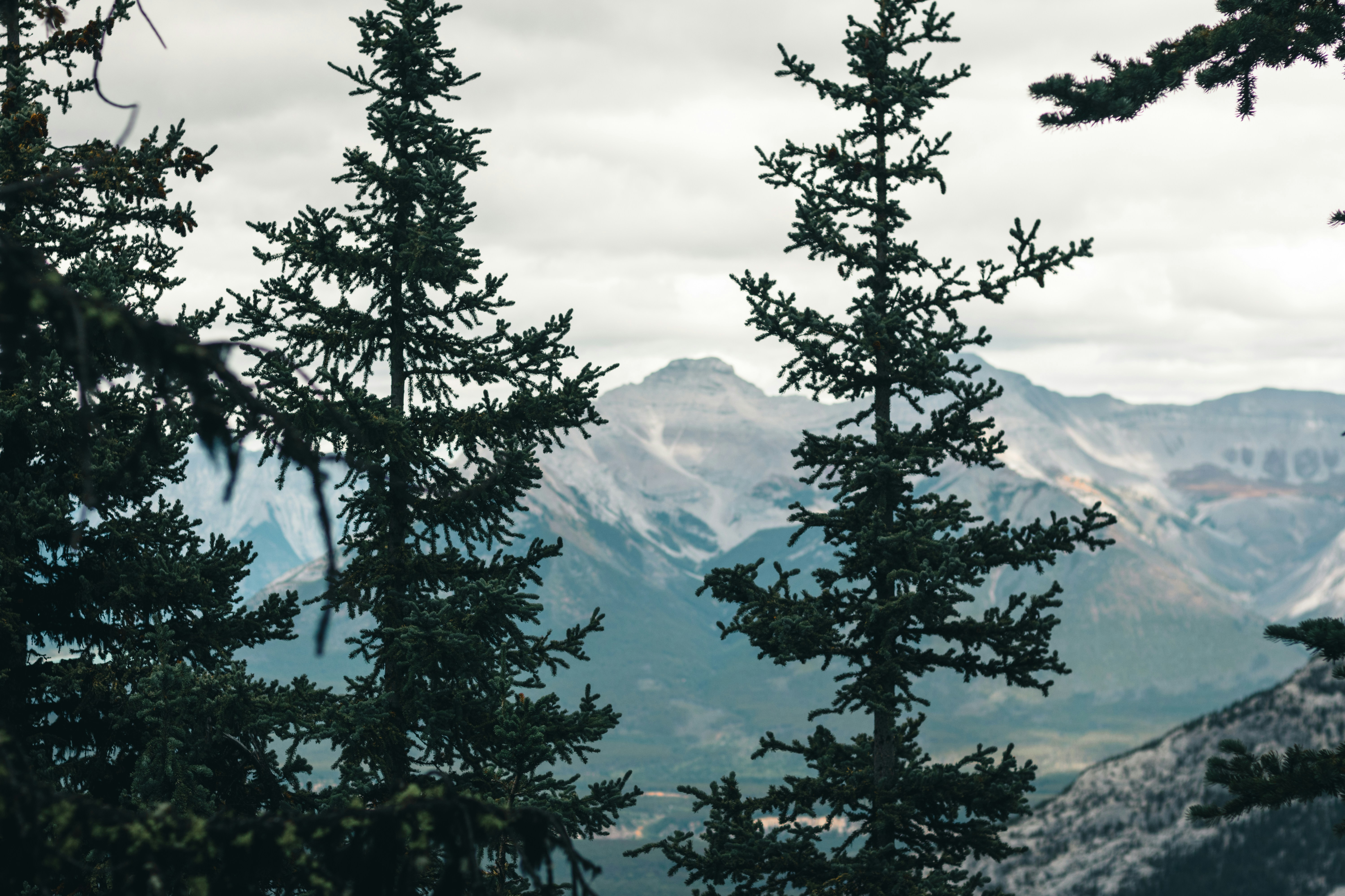 Photo by lureofadventure