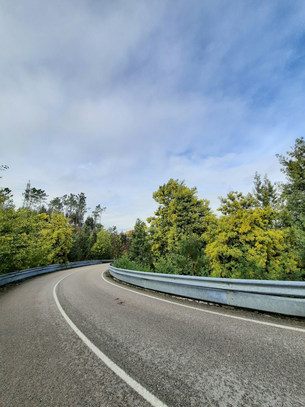 gray concrete road between green trees under white clouds and blue sky during daytime