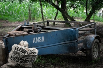A weathered blue metal cart with the label 'AMSA' sits on green grass in a lush and wooded area. In the foreground, burlap sacks marked 'CLEAN COFFEE' and 'PRODUCT OF GUATEMALA' are piled next to the cart.