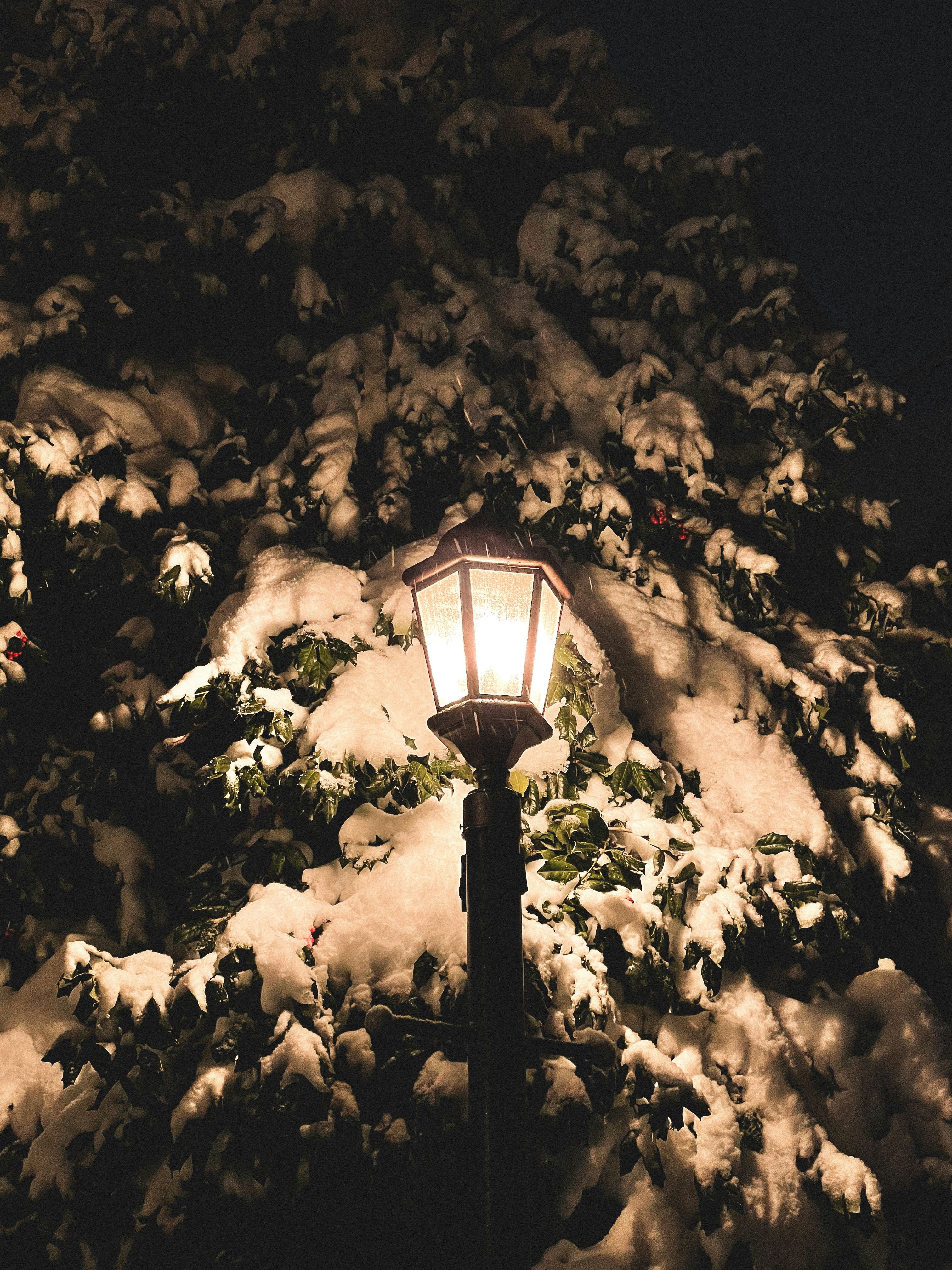 Photo by create4eyes