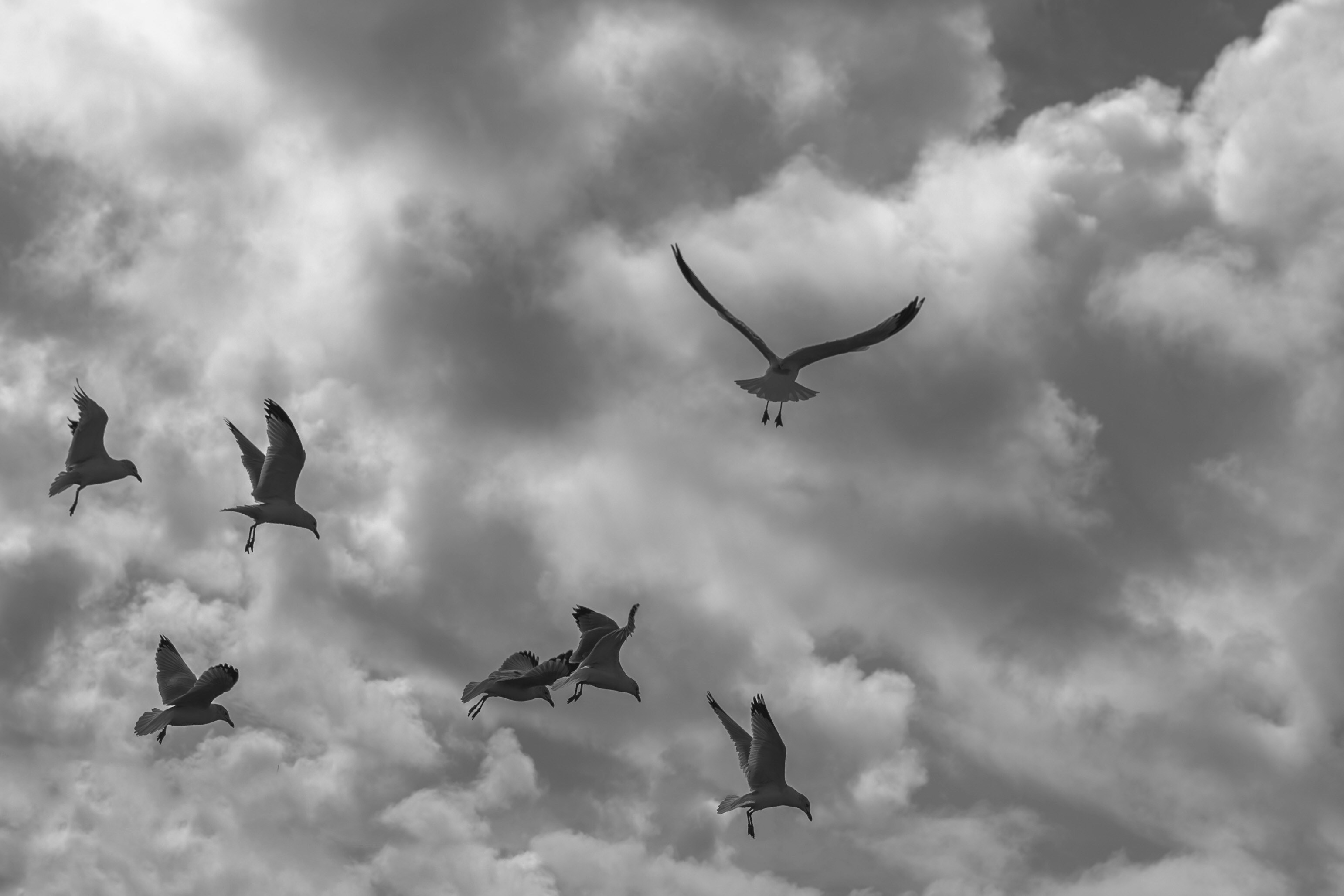 Photo by avillaalegria