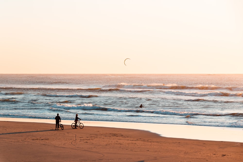 people walking on beach during daytime