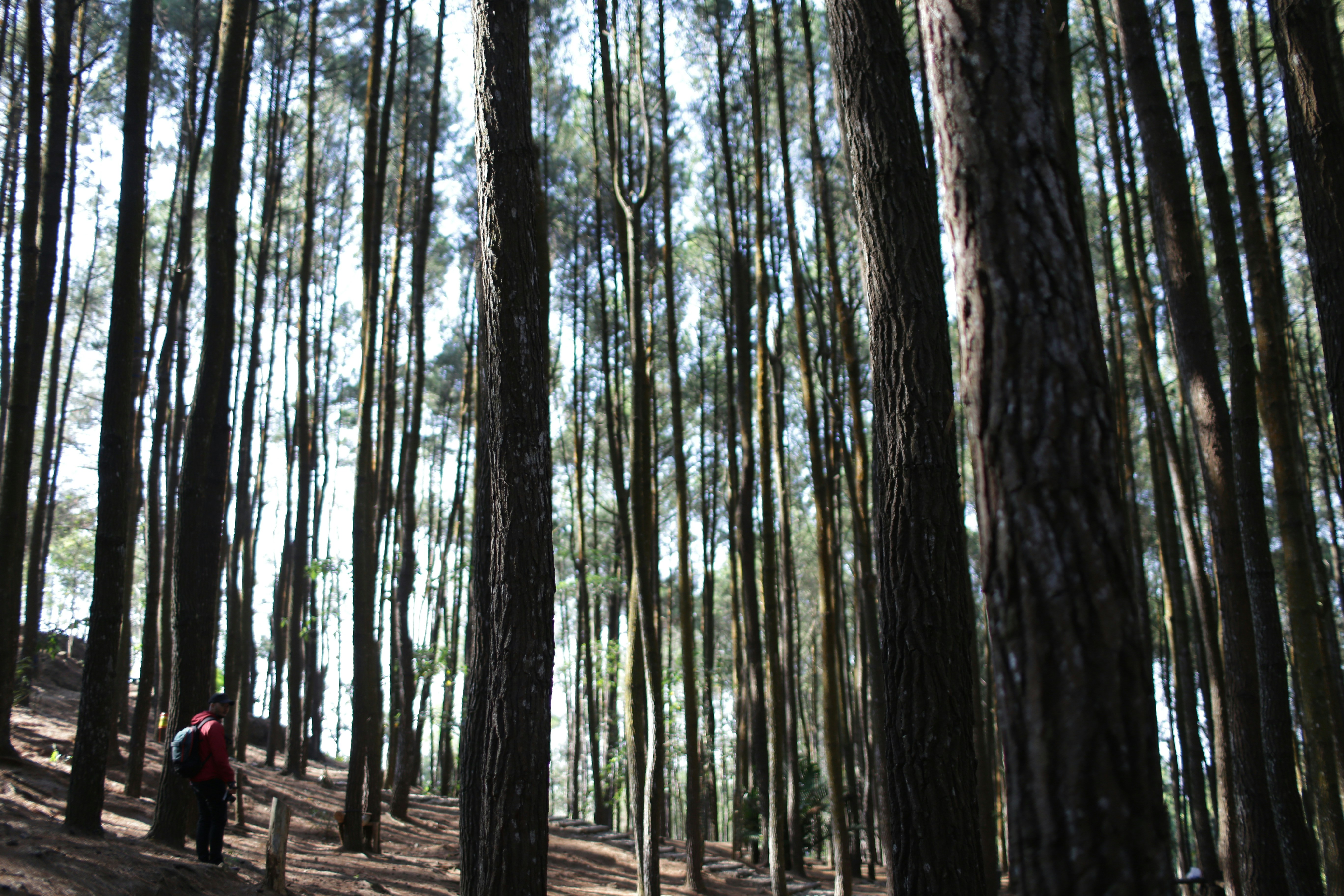 Photo by bangkitristant