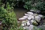 Close-up of a gently flowing water feature with smooth stones and delicate plants.