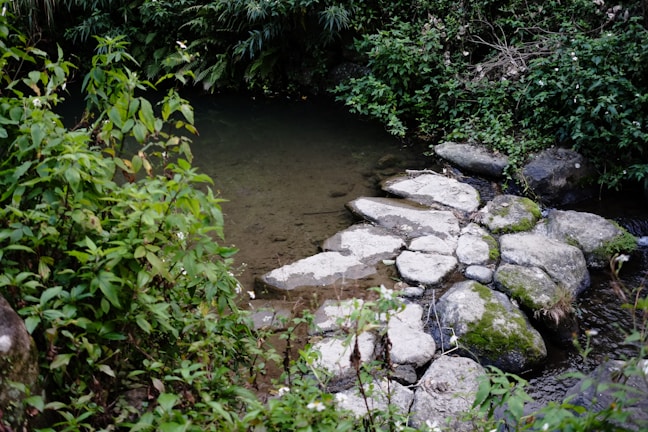 Close-up of a gently flowing water feature with smooth stones and delicate plants.