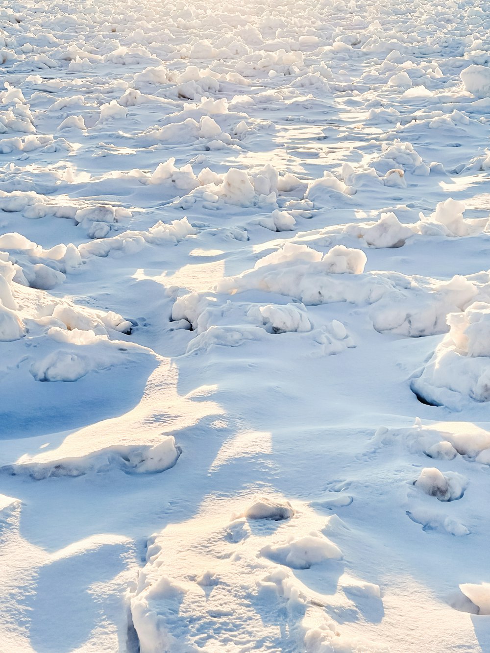 snow covered field during daytime