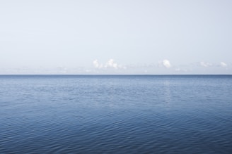 blue sea under blue sky during daytime