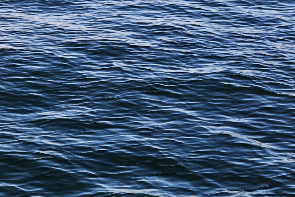 blue sea water during daytime