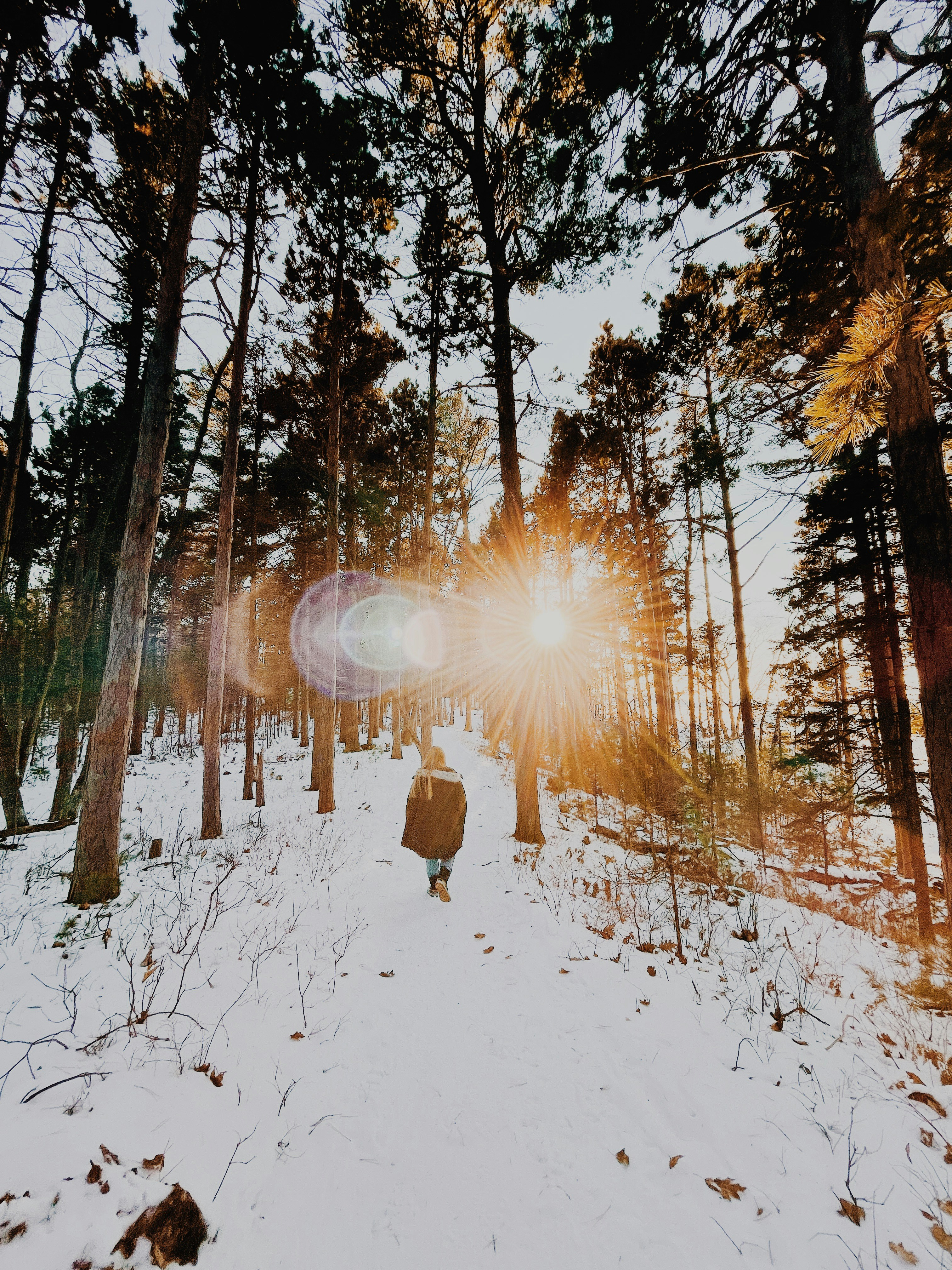 🌥 The Sunday Edition