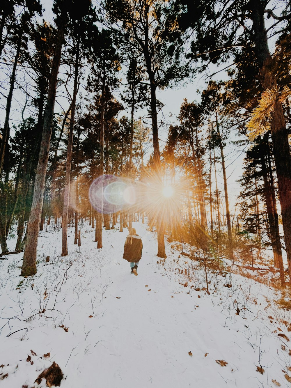 Person in schwarzer Jacke geht bei Sonnenaufgang auf schneebedecktem Boden