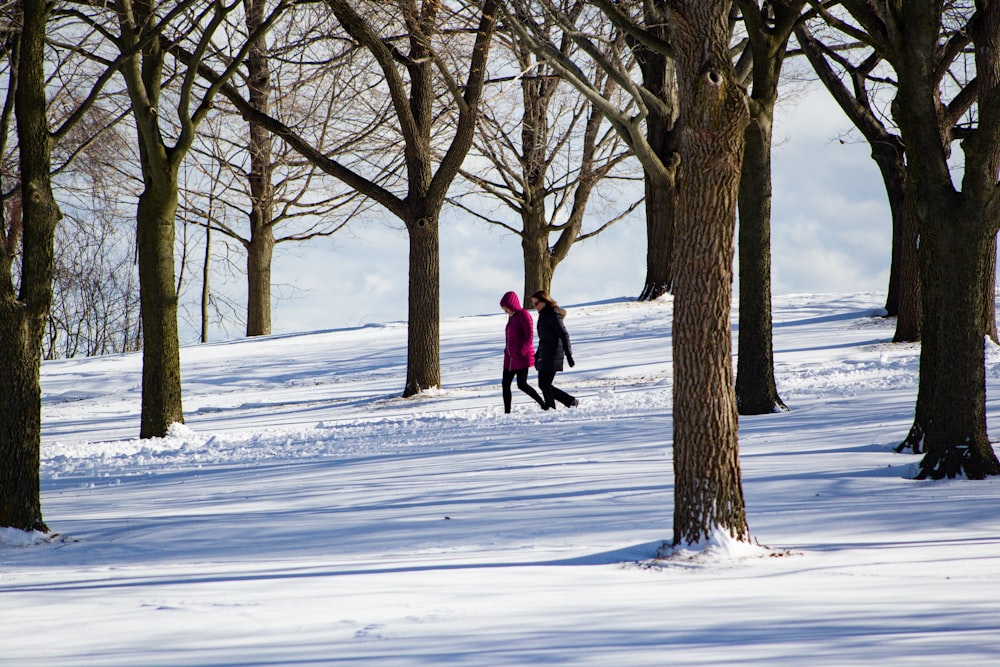 Persona in giacca rossa che cammina su un terreno coperto di neve vicino a alberi spogli marroni durante il giorno