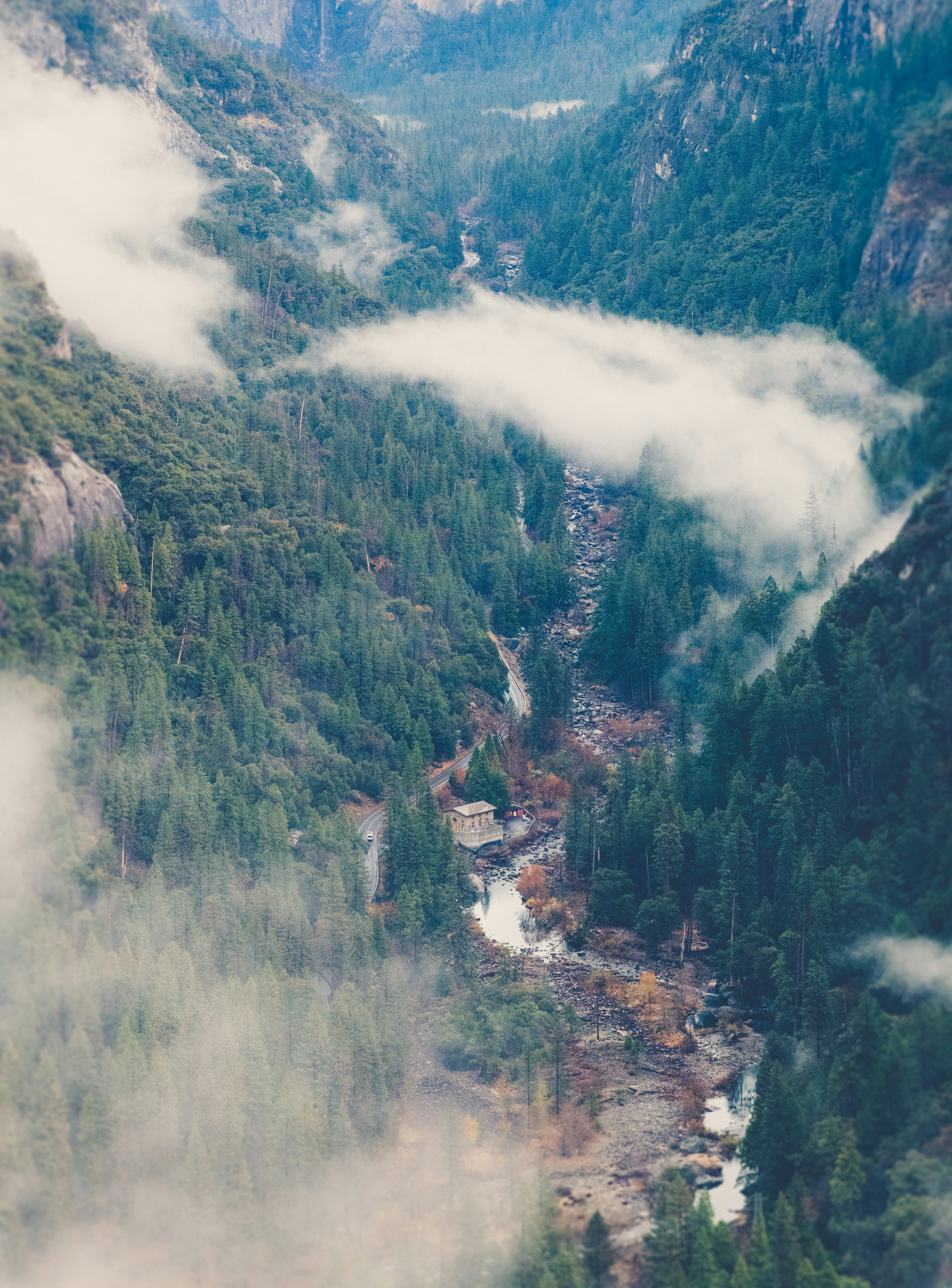 green trees on mountain during daytime