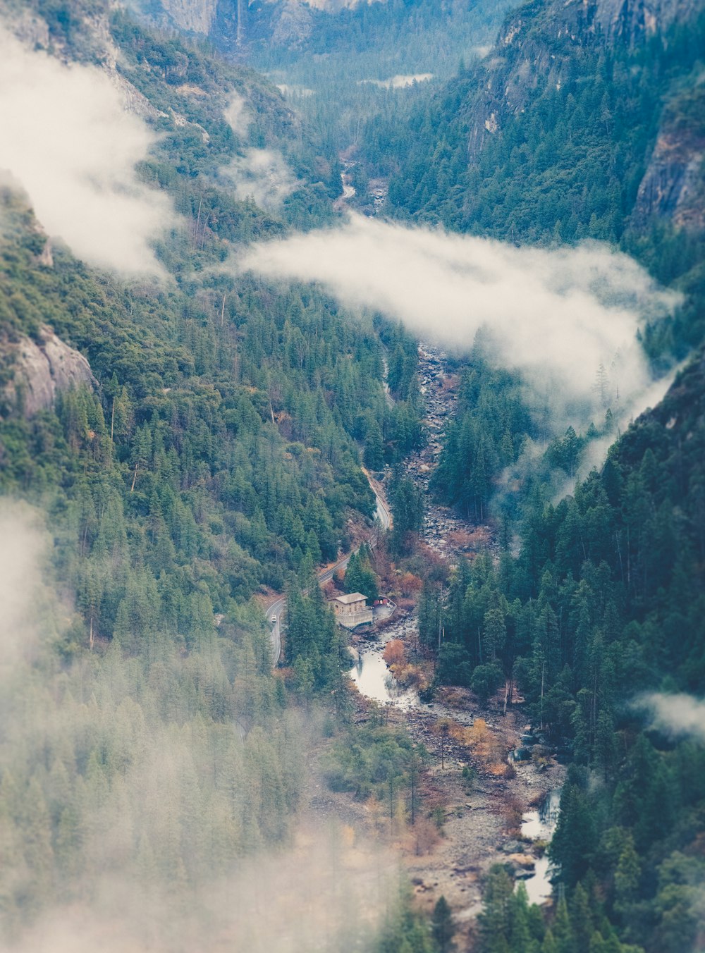 green trees on mountain during daytime