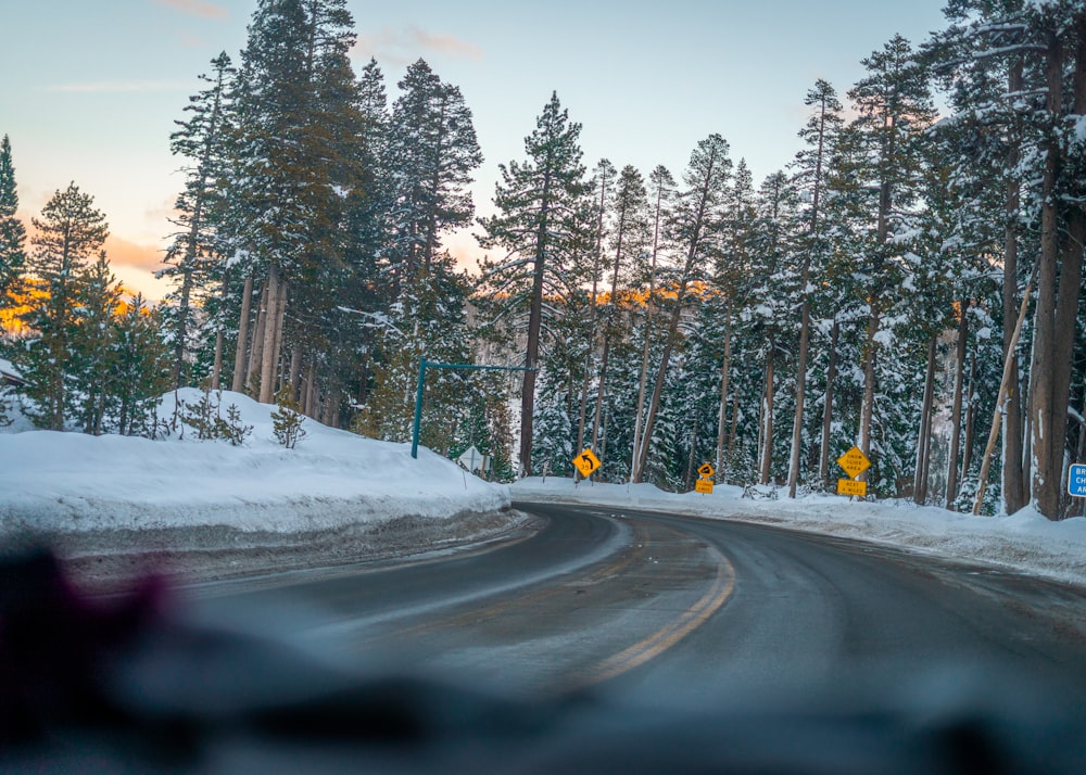 gray asphalt road between snow covered trees during daytime