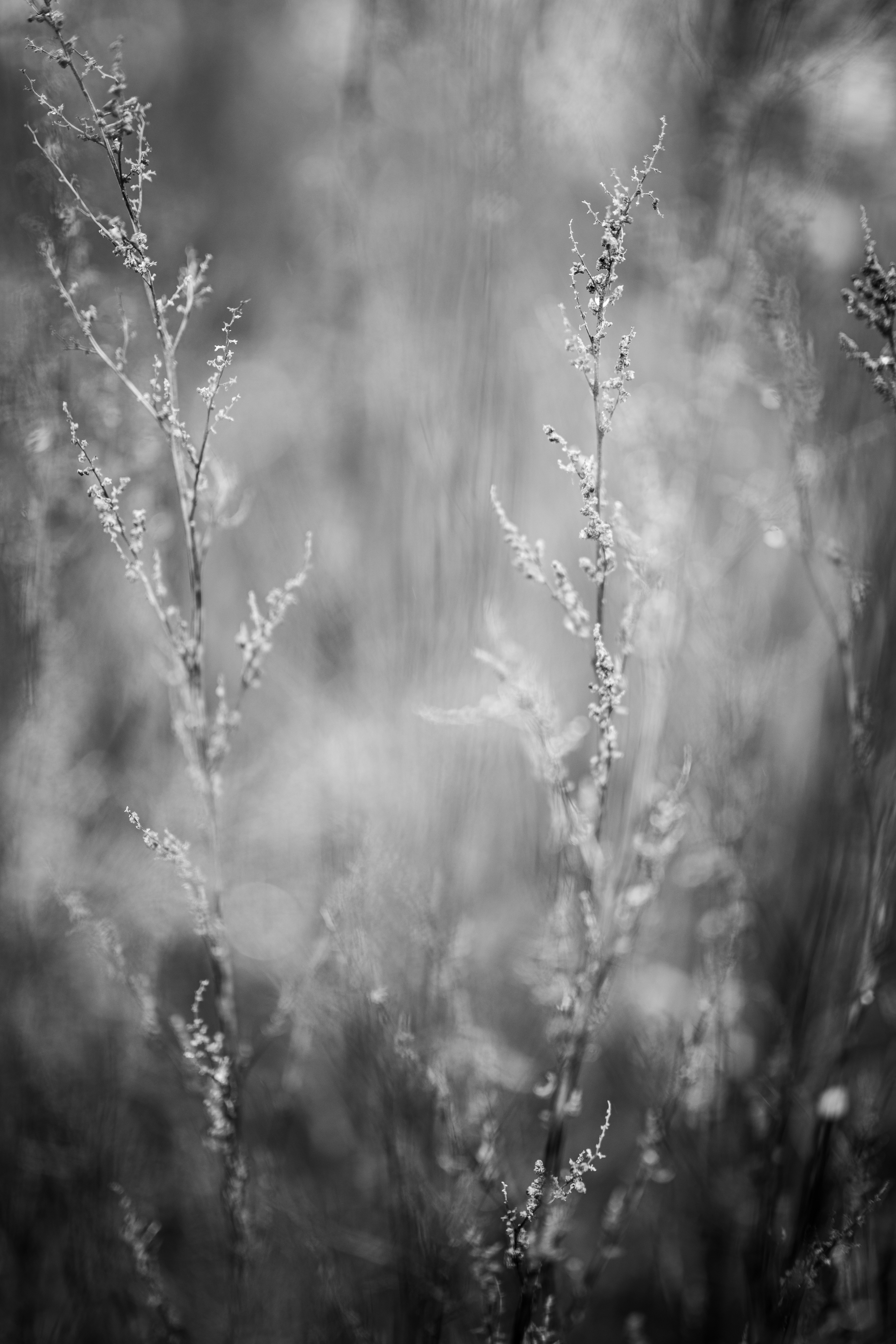 Photo by kajareichardtphotos