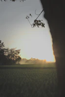 A serene landscape shot capturing the calm of early morning light.