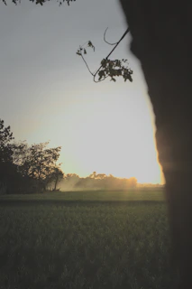A serene landscape photo taken by a user during an early morning hike.
