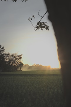 A serene landscape photo capturing early morning light over a quiet village.