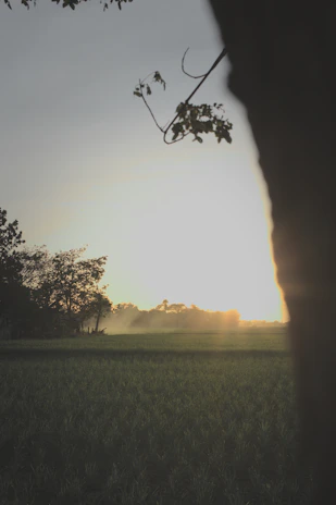 A serene landscape photo taken by a user during an early morning hike.