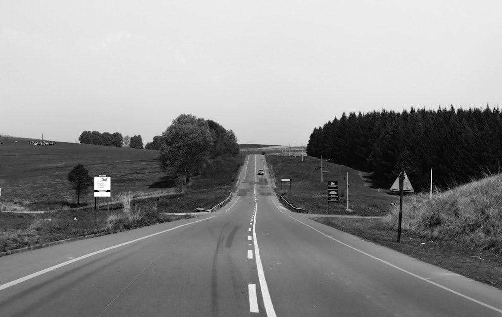 grayscale photo of road between trees