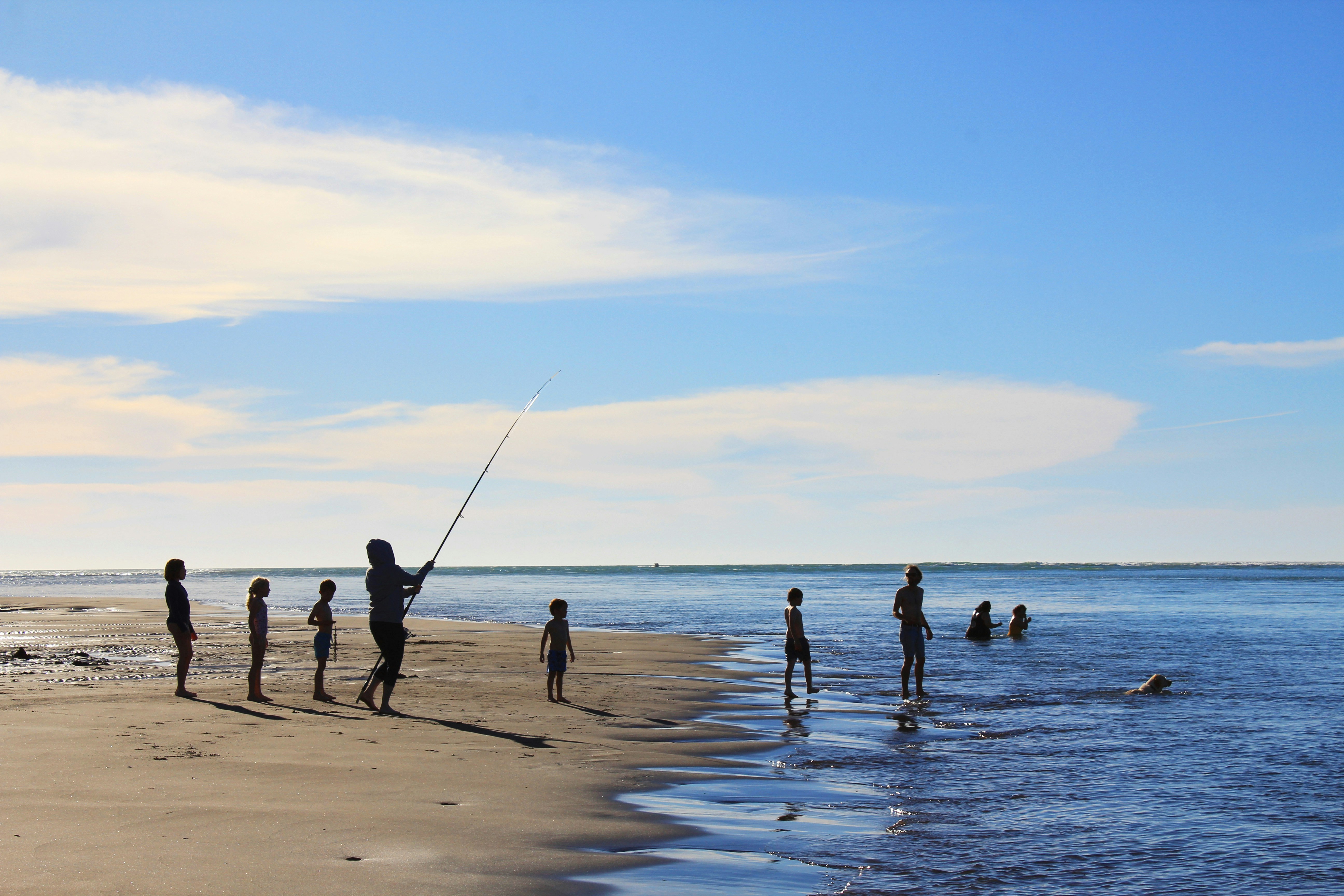 people on beach during daytime