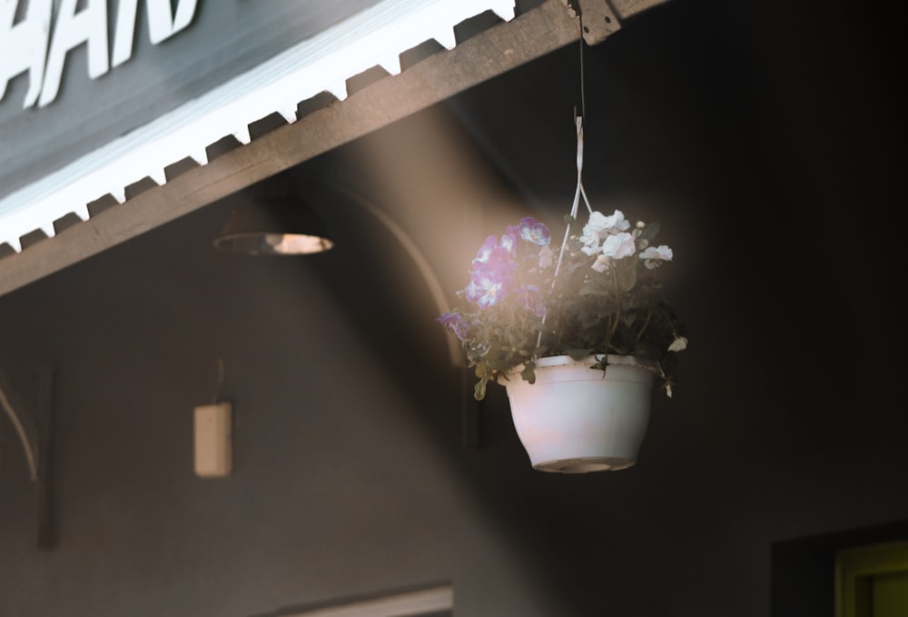 Foto flor blanca y morada en jarrón de cerámica blanca – Imagen Botánico  gratis en Unsplash