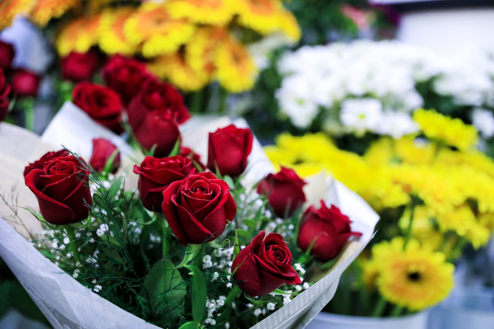 red roses on white table