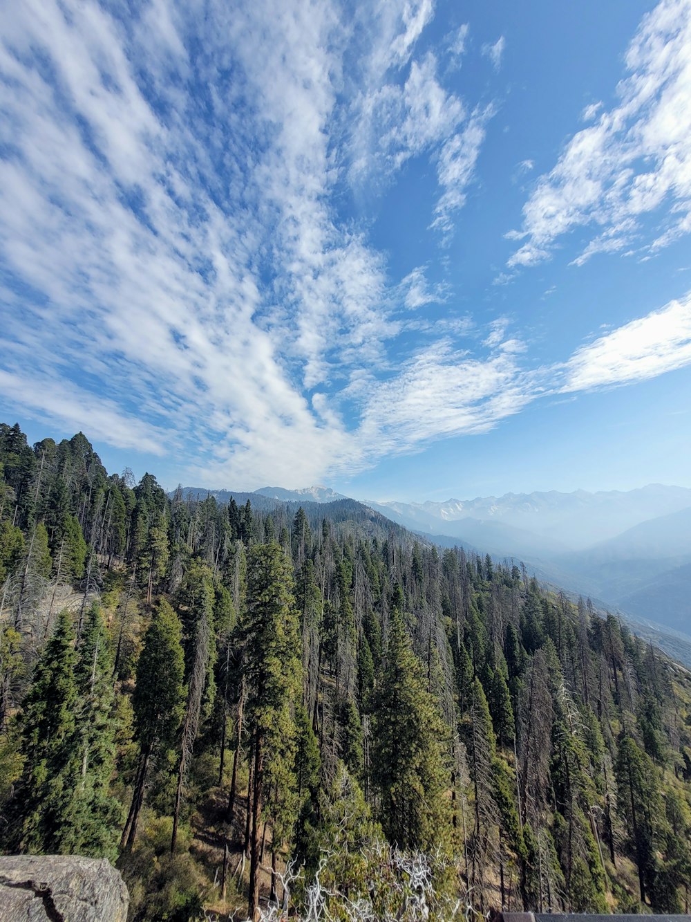 green trees on mountain under blue sky during daytime