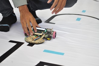 person holding green and black toy car