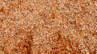 Close-up of guava wood chips used for smoking, highlighting their texture and color.